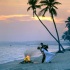 Picture of Music Book - Travel Maldives Honeymoon
