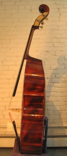 Wilfer Viol Model