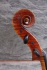 Picture of Cello - Jay Haide Ruggieri-model Cello