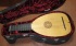 Picture of Lute - 8c Venere by Grant Tomlinson