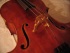 Picture of Cello - Tony Padday Meistercello 1999