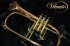 New Vibrato Rose Brass Flugelhorn