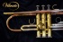 trumpet image: New Vibrato Rose Brass Trumpet + FREE Schilke mouthpiece*