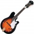 Fender FM-62SE accustic/electric mandolin