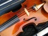 violin image: France- Brugere, Charles 1898 Number 79