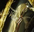 New Gold Selmer LaVoix Alto Saxophone      *