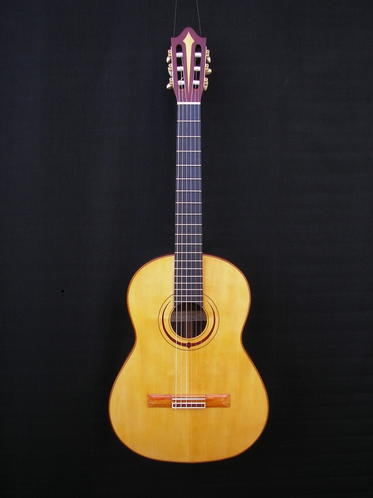 Acoustic Guitar