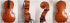 Picture of Cello - Hill Model Pegs and Italian Varnish
