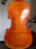 violin image: Orange-brown colored Violin with European Wood