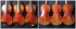 violin image: Colorful violins with great craftsmanship