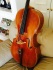 cello image: Antonio Capela 1974