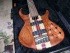 MINT Tobias Basic 5 Bubinga Wood