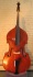 Wilfer Viol Model