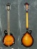 Picture of Mandolin - MORGAN MONROE "F-Style" Bouzouki/Octave Mandolin