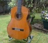 acoustic guitar image: Federico Sheppard Clasical Guitar Cedar top 2009 USA