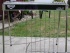 Picture of Steel Guitar - Emmons LaGrande 11