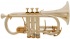 cornet image: Eastman Soprano Cornet Eb