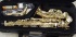 New Gold Selmer LaVoix Alto Saxophone *