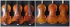 Modern  violin which has a great tone