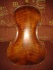 Italian master viola